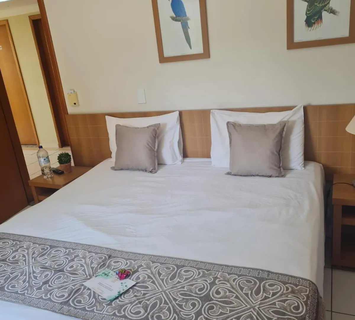 Apart-hotel Resort Hotel Golden Dolphin - Grand&Express - Águas Termais - Caldas Novas - Roupa de Cama, Banho e TV de LED